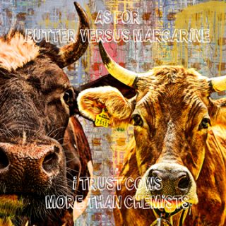 Cows 2 