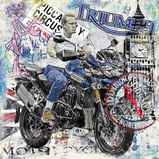 "Triumph Tiger 1200"